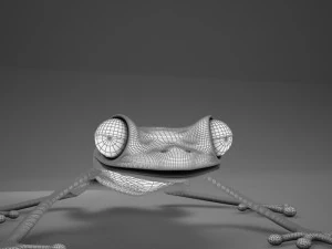 poison arrow frog 3D Model