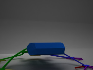 poison arrow frog 3D 모델