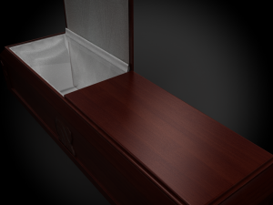 high def coffin mary Model 3D