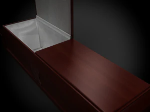 high def coffin mary 3D Model