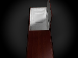 high def coffin mary Model 3D