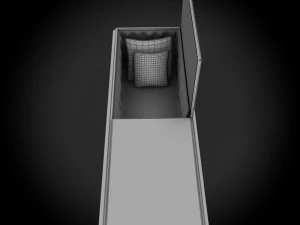 high def coffin mary 3D Model