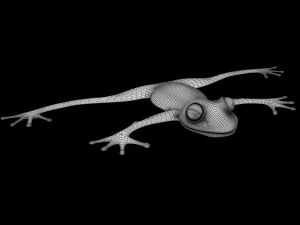 cartoon frog 3D Model