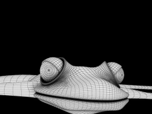 cartoon frog 3D Model