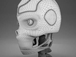 robot head 3D Model