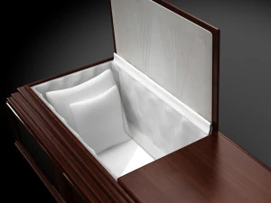 classic wood coffin 3D Model