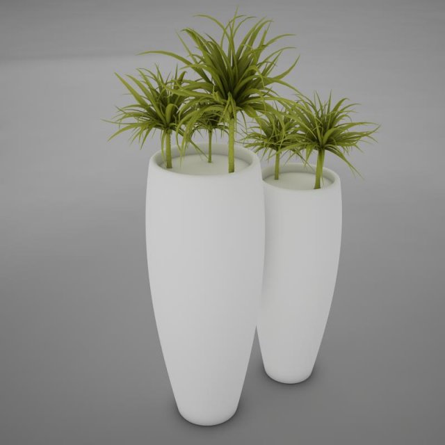 plant living 2 3D Model .c4d .max .obj .3ds .fbx .stl .blend 