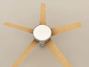 fan 002 modern dinner 3D Model