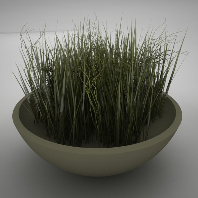 plant living Model 3D .c4d .max .obj .3ds .fbx .stl .blend 