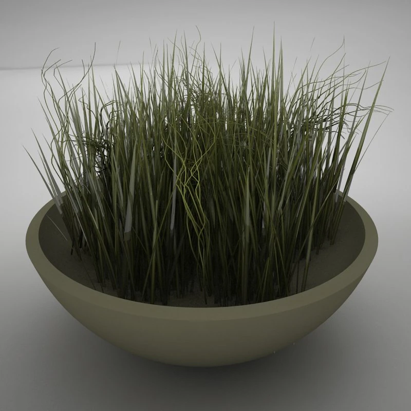 plant living 3D Model .c4d .max .obj .3ds .fbx .stl .blend 