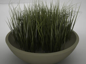 plant living 3D Model
