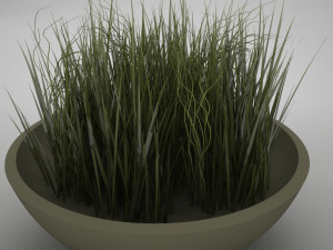 plant living Model 3D