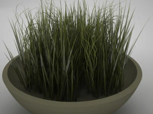 plant living 3D Model
