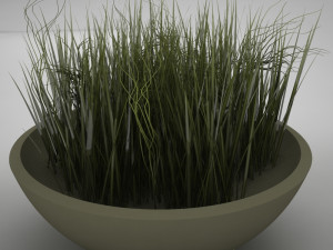 plant living Model 3D