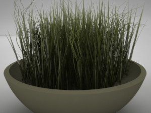 plant living Model 3D