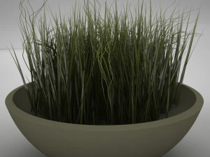 plant living 3D Model