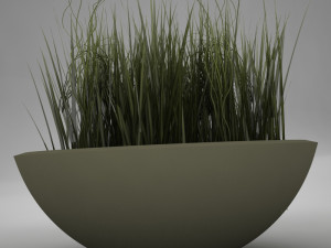 plant living Model 3D