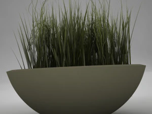 plant living 3D Model