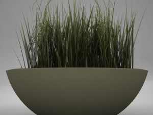 plant living Model 3D