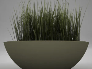 plant living 3D Model
