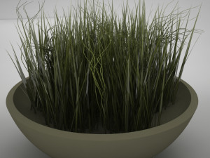 plant living Model 3D