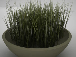 plant living 3D Model