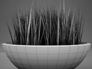 plant living Model 3D