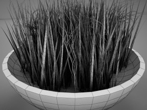 plant living Model 3D