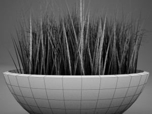 plant living Model 3D