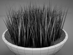 plant living Model 3D