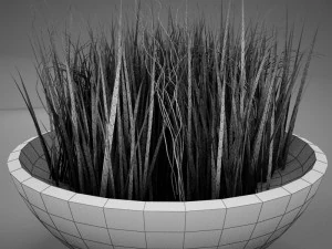 plant living 3D Model