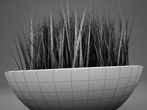 plant living Model 3D