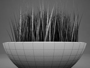 plant living Model 3D