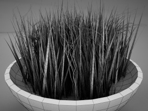 plant living Model 3D