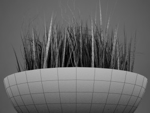 plant living Model 3D