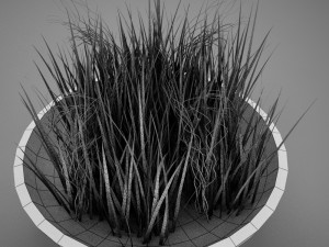 plant living Model 3D