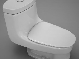 toilet Model 3D