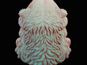 bear head curly 3D Model