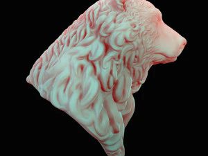 bear head curly 3D Model