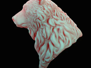 bear head curly 3D Model