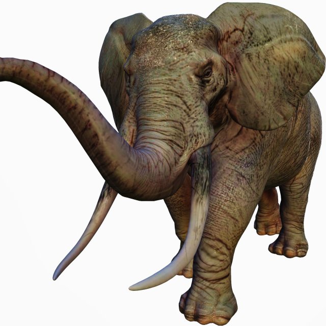realistic african elephant 3D मॉडल .c4d .max .obj .3ds .fbx .stl .blend 
