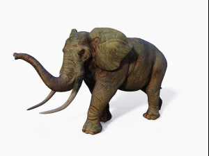 realistic african elephant 3D Model