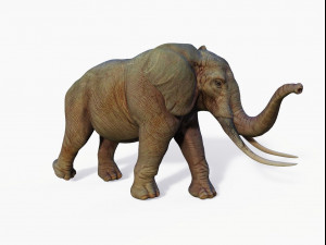 realistic african elephant 3D मॉडल