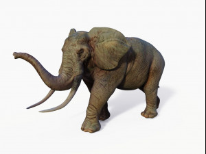 realistic african elephant 3D मॉडल