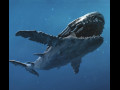 Ocean Monster 3D Model