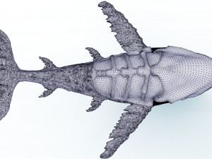 ocean monster 3D Model