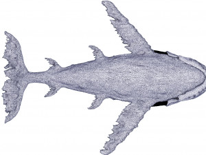 ocean monster 3D Model