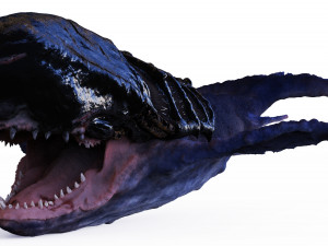 ocean monster 3D Model