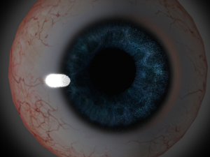 eye 3D Model