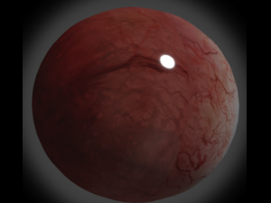 eye 3D Модель